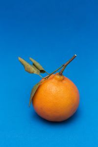 Close-up of orange against blue background