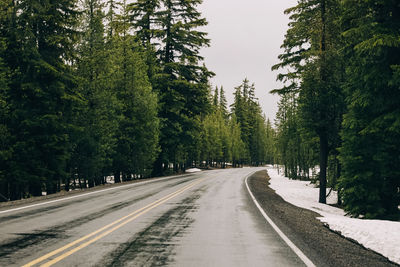 Wet road through the pine tress with some snow on the roadside, oregon, usa