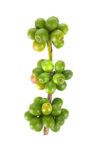 Close-up of fruits against white background