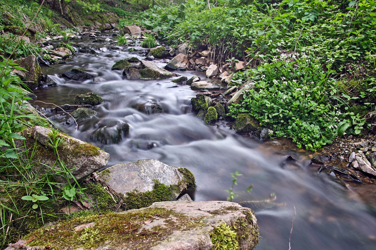 WATER FLOWING THROUGH ROCKS IN FOREST