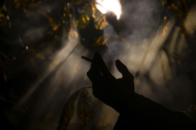 Cropped hand of man holding sparkler at night