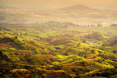 High angle view of landscape