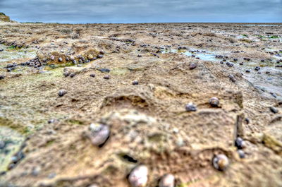 Scenic view of beach against cloudy sky