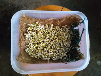 Directly above shot of mung beans in container