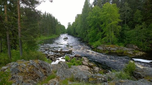 River flowing amidst rocks in forest