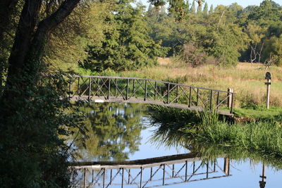 Scenic view of lake in forest