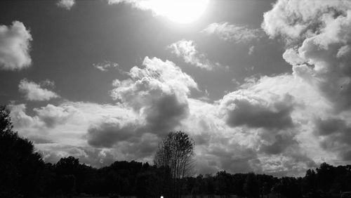 Low angle view of trees against cloudy sky