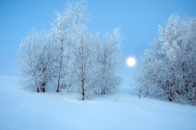 Beautiful winter landscapes in the valleys