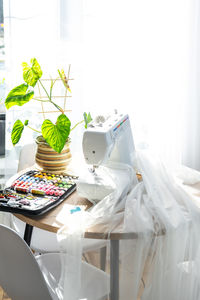 Potted plant on table