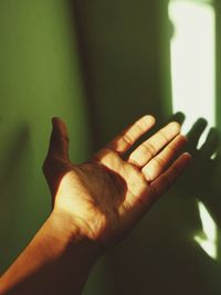 Close-up of hands holding leaf