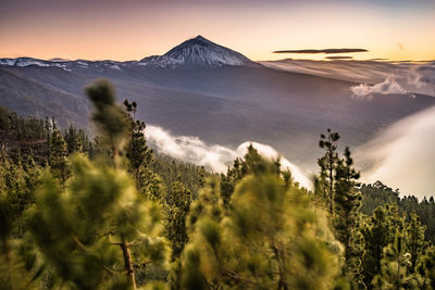 Panoramic view of landscape against sky during sunset