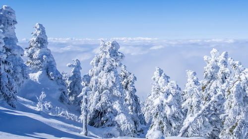 Panoramic view of snowcapped mountains against sky