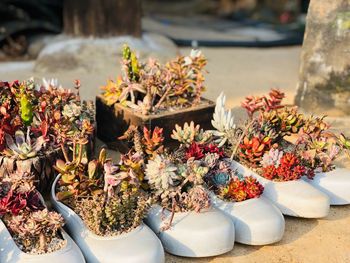 High angle view of potted plants for sale