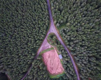 Full frame shot of fruit