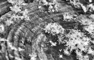 Full frame shot of white background