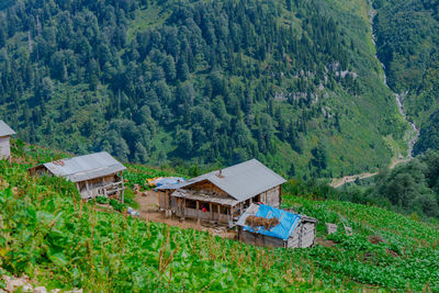 High angle view of trees and houses on field