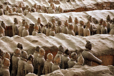 High angle view of turtle in sea