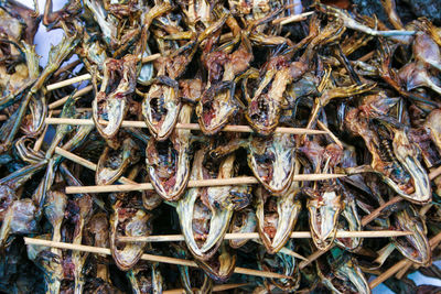 High angle view of fish for sale at market