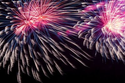 Firework display