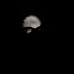 darkness