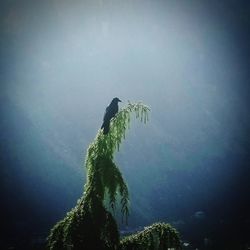 Low angle view of statue against sky