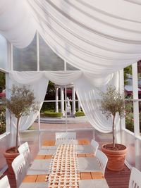 Potted plants on table in building