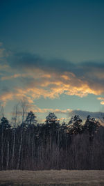 Scenic view of field against sky during sunset