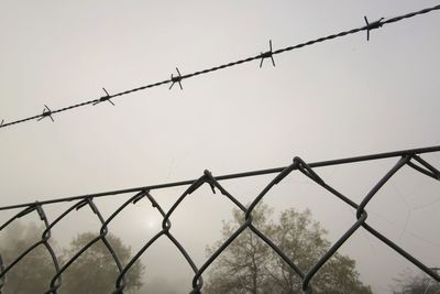 Low angle view of barbed wire against sky