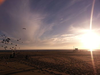 Birds flying over sea against sky