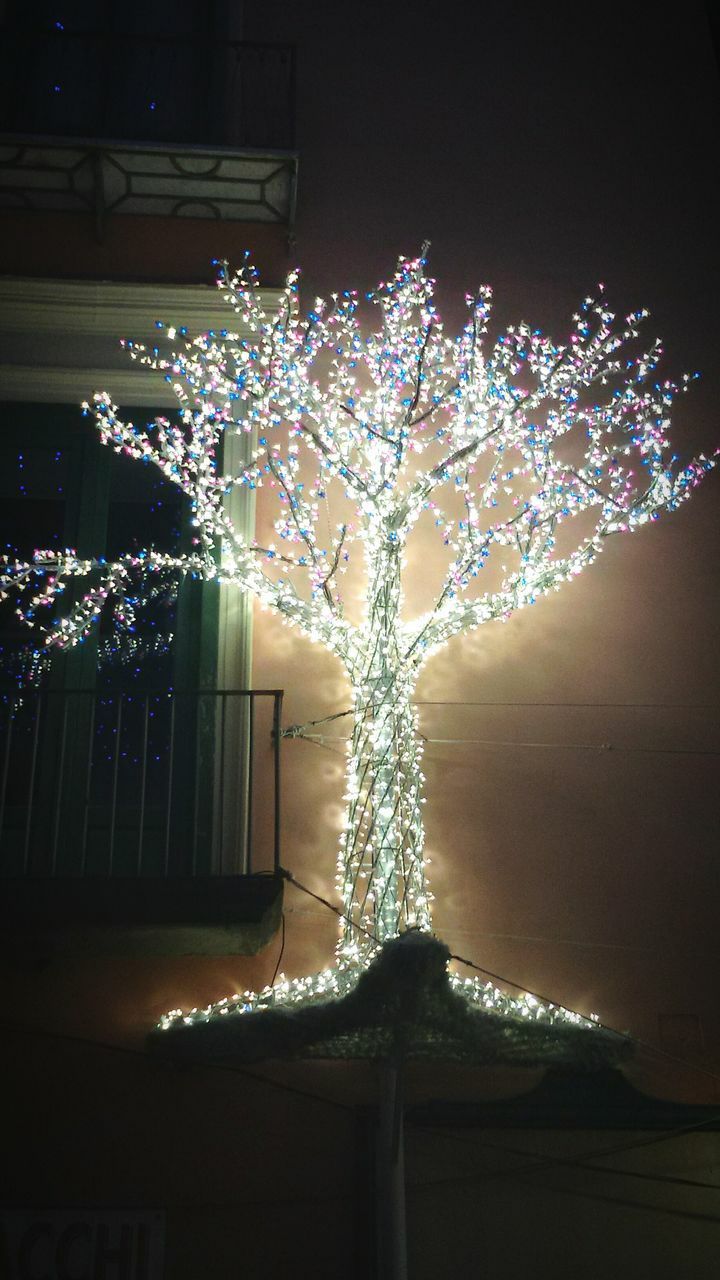 night, no people, motion, illuminated, long exposure, tree, outdoors, beauty in nature, nature