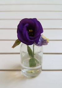 Close-up of purple flower vase on table