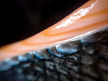 Close-up of orange leaf on wood