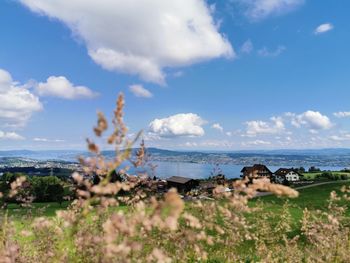 Panoramic shot of lake against sky