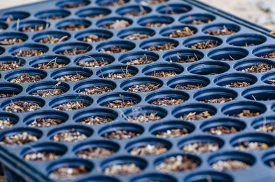 Black plastic tray for growing seedlings in greenhouses.