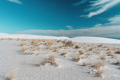 Scenic view of snow covered land against blue sky