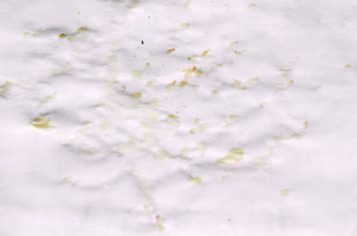High angle view of ice cream in snow