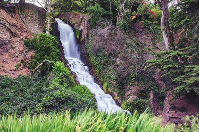 Scenic view of waterfall