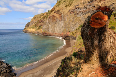 Scenic view of beach against sky