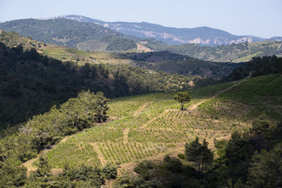 High angle view of trees and mountains against sky