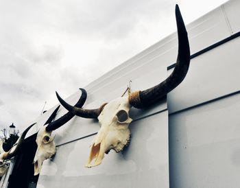 Low angle view of animal statue against sky