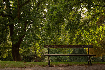 Empty bench in park