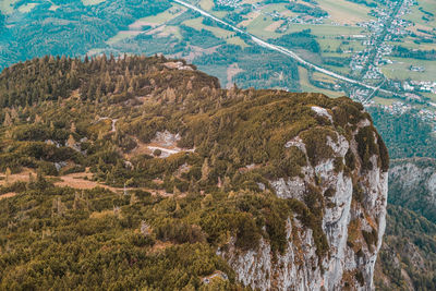 High angle view of trees on landscape