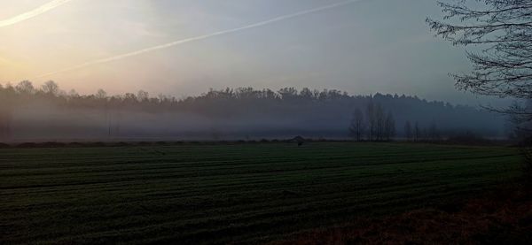 Scenic view of field against sky during foggy weather