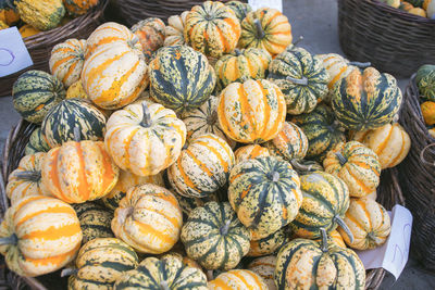 High angle view of pumpkins for sale at market stall