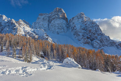 Unrecognizable child in front of beautiful winter environment, val fiorentina, dolomites, italy
