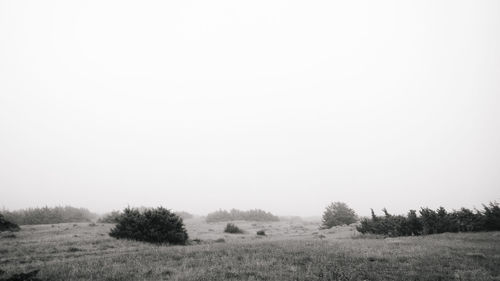 Scenic view of landscape against clear sky