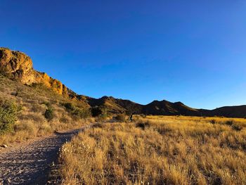 Scenic view of landscape against clear blue sky