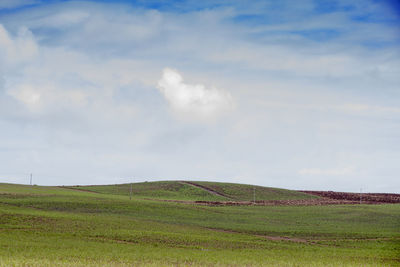 Green field in the north of the tropical island of mauritius