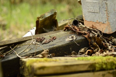 Close-up of damaged rusty wheel