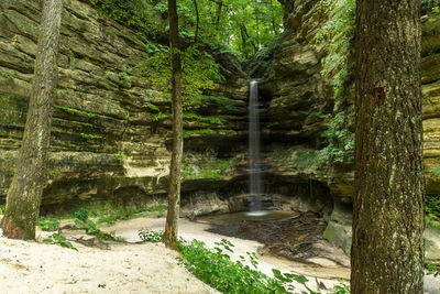 Waterfall in forest